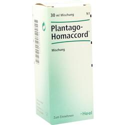 PLANTAGO HOMACCORD